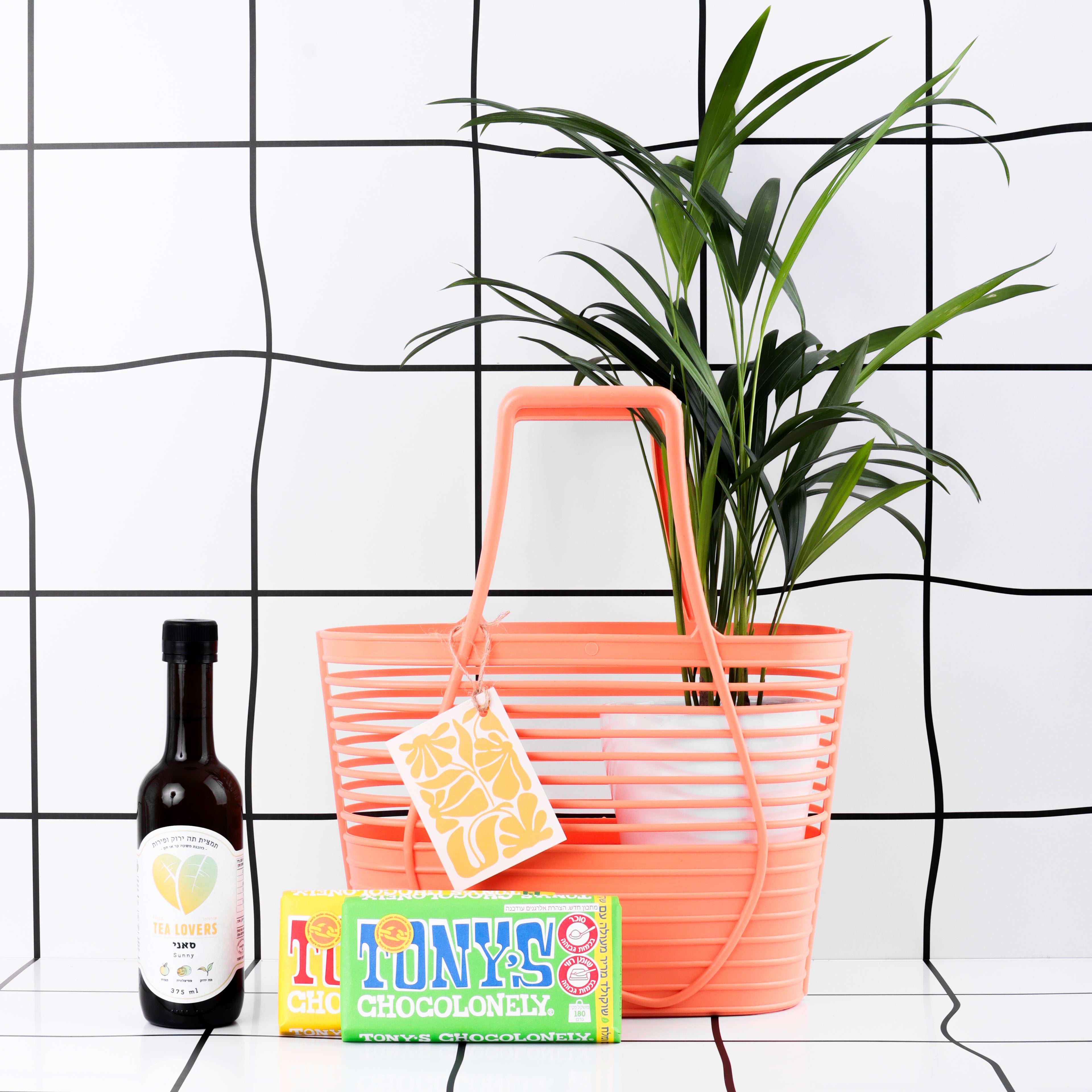 עציץ בית בסל